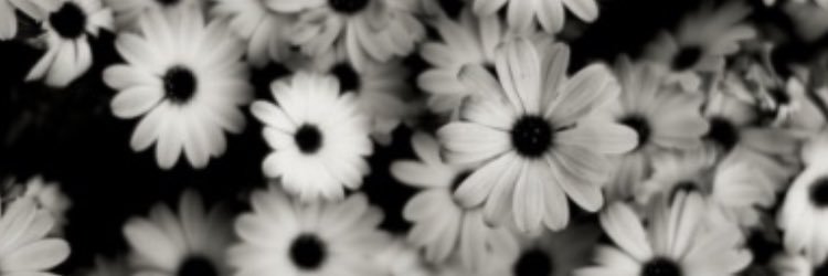 _CountryBitcch_'s profile banner image