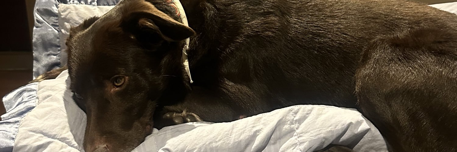 SophySandoval1's profile banner image