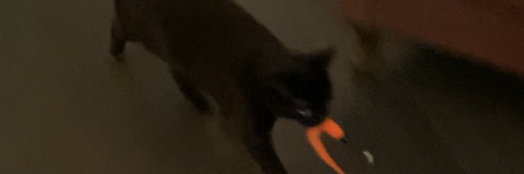 l1z3yy's profile banner image