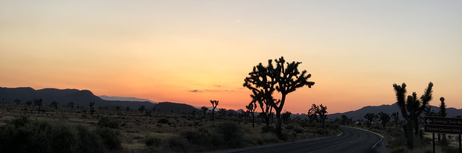 simsays24's profile banner image