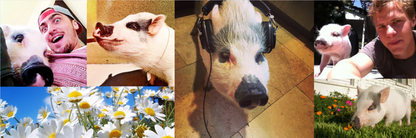 YUMAPIG1 Profile Banner
