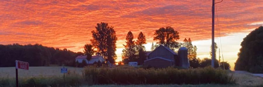 Brando_Olson's profile banner image