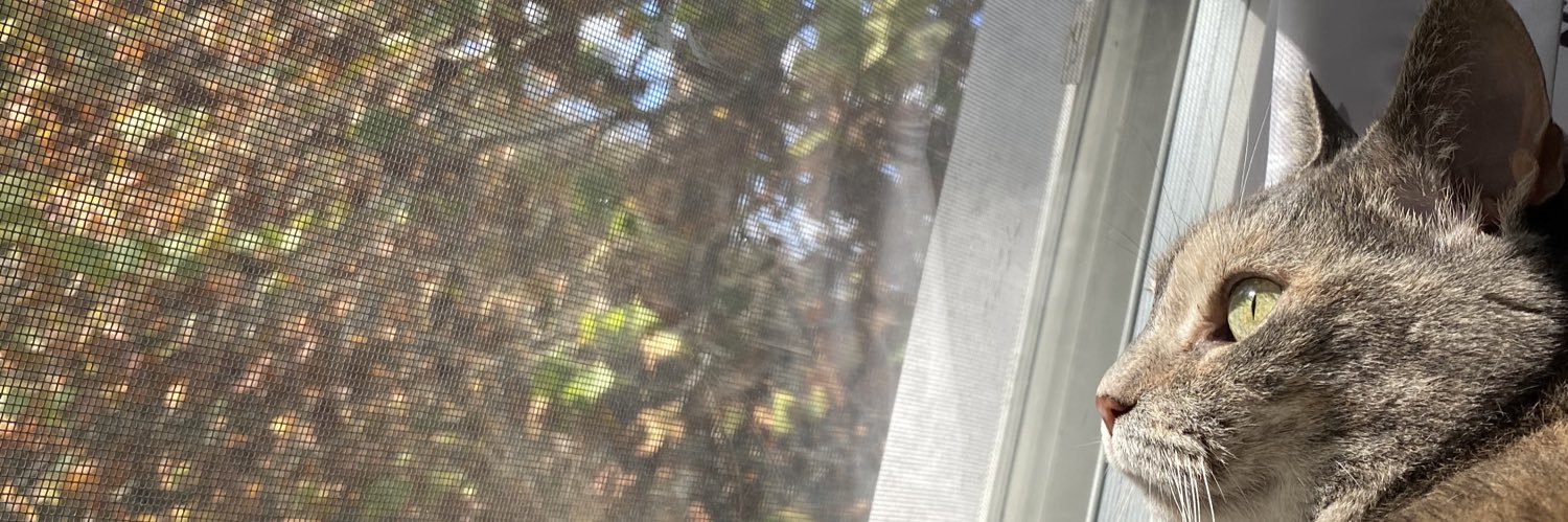 MorganMyers__'s profile banner image