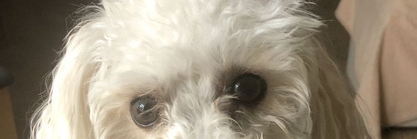 bend_ro Profile Banner