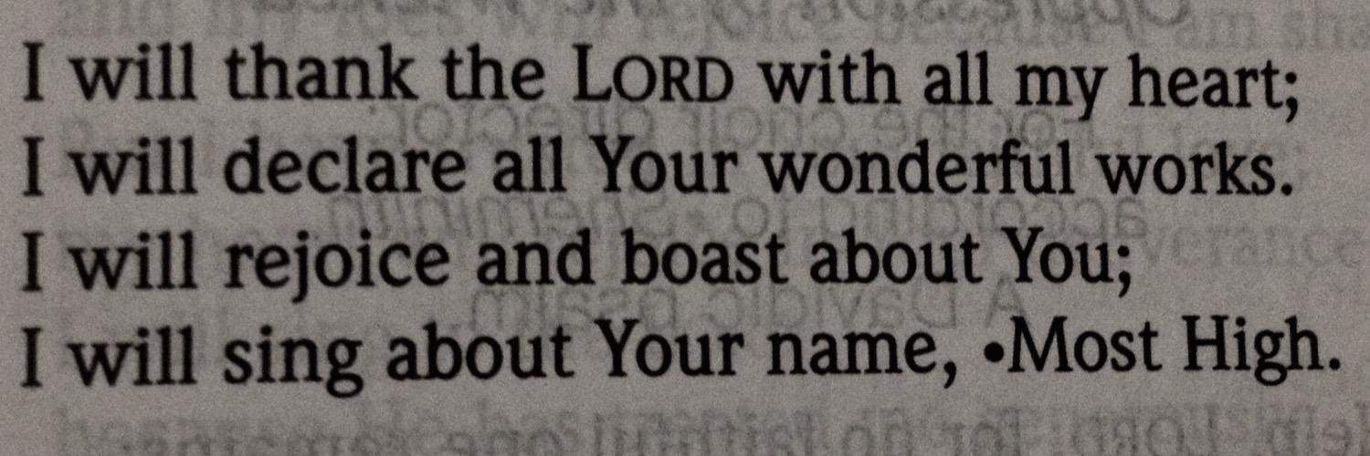 CortneyStorey banner