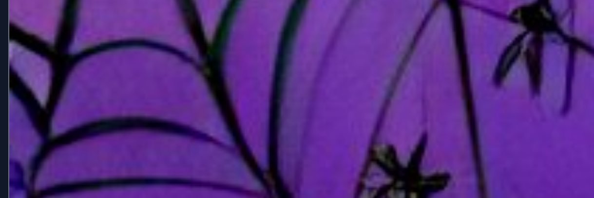 Laura's Backup! banner