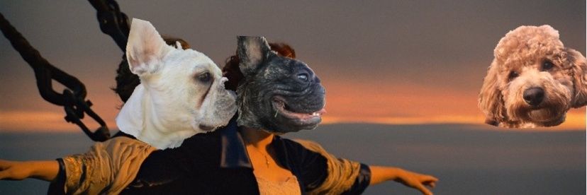 benlipson's profile banner image
