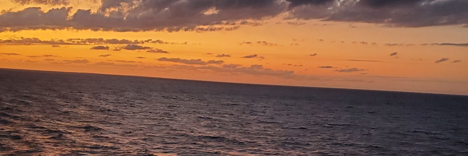 happi2617's profile banner image