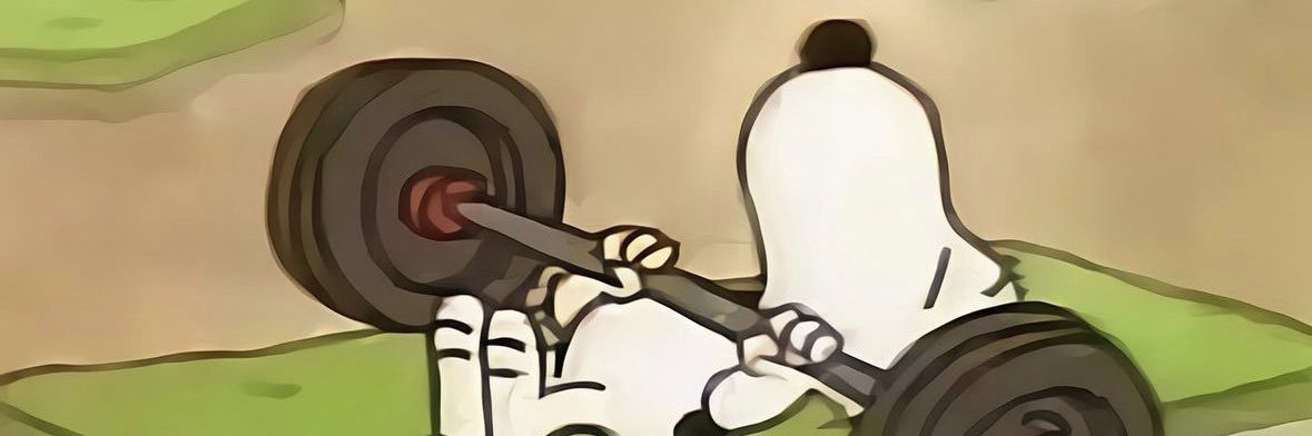 Iz banner