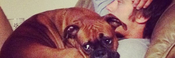 BenjaminMeche Profile Banner