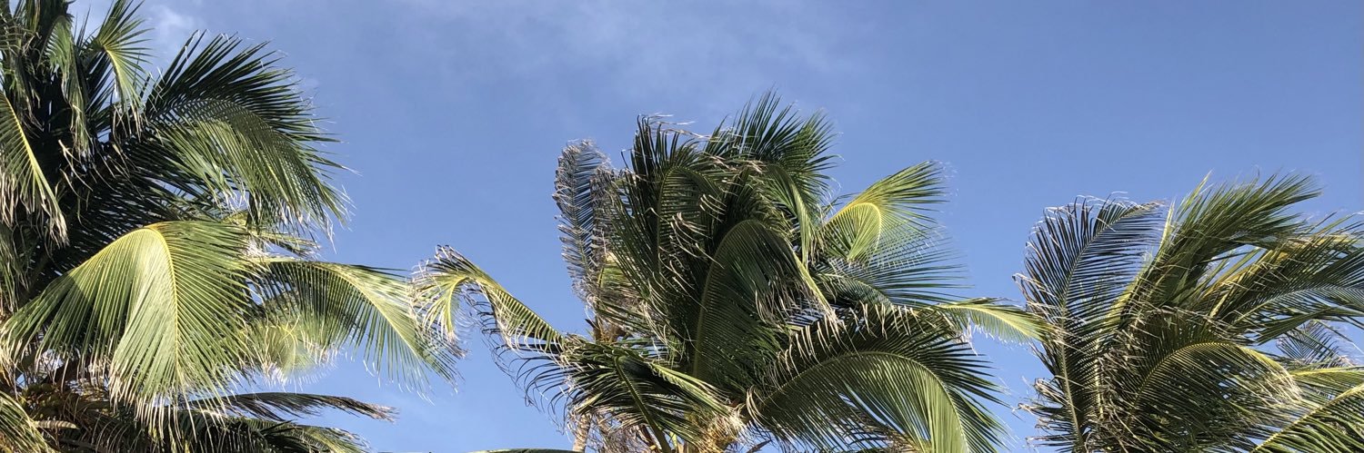 danielagomezra1's profile banner image