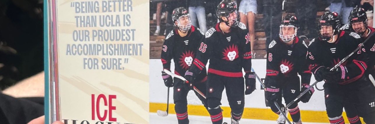 vvsnish's profile banner image