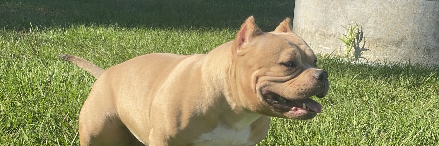 tk_phill's profile banner image