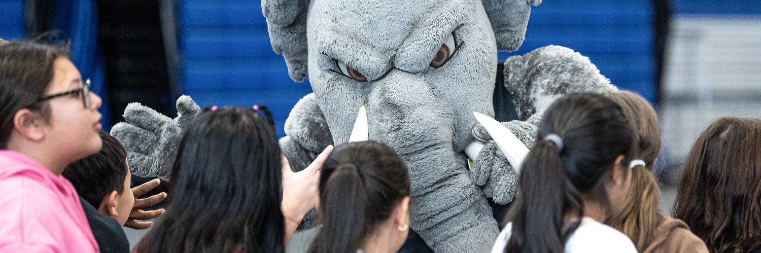 Purdue Fort Wayne Mastodons's banner
