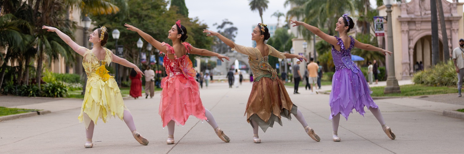 SDCYBallet's profile banner image