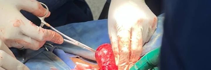 Priyesh nayan banner