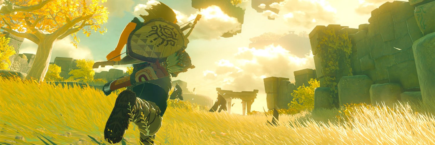 PuissanceZelda's profile banner image