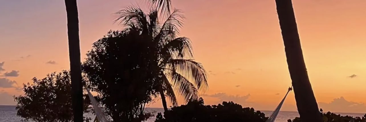 fenniejay's profile banner image