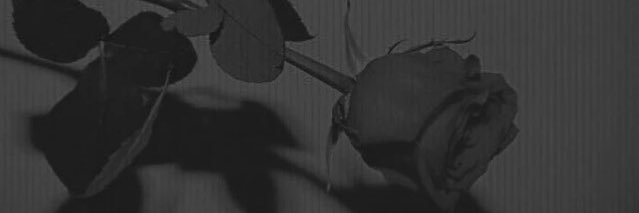 AnissaTaylorF's profile banner image