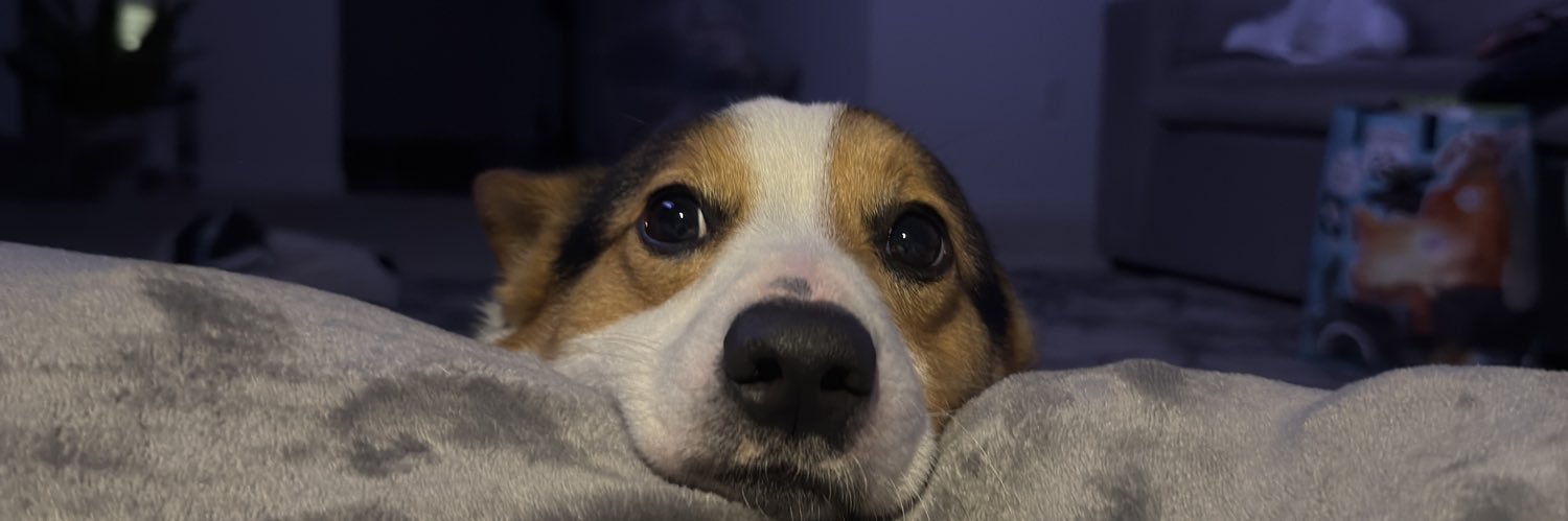 darcuslove's profile banner image