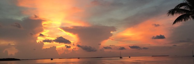 rylie_hoffman's profile banner image