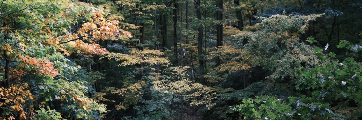 _alexblatt's profile banner image