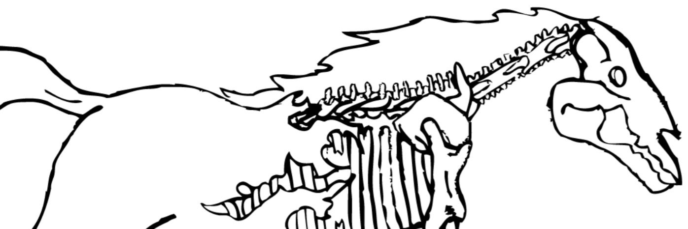 Zaphiod42's profile banner image