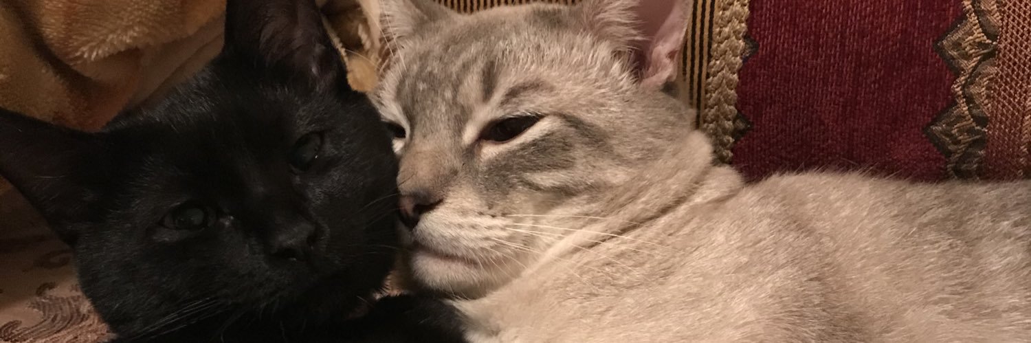 tiffaniaaaa_'s profile banner image