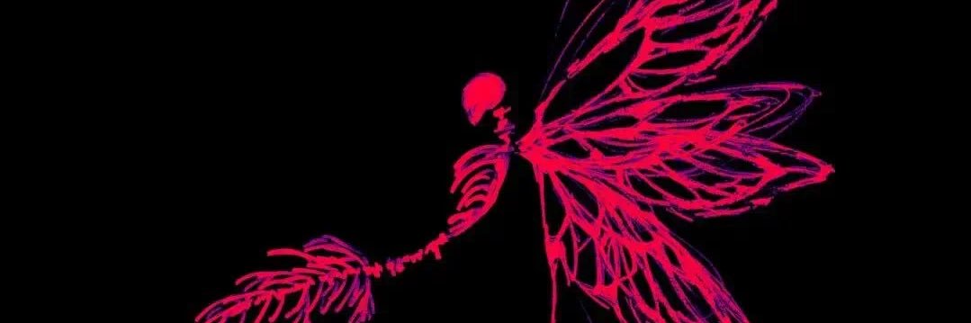 Niklaus banner