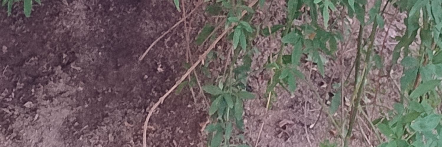 Bkcc22's profile banner image