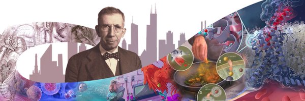 UIC_BVIS Profile Banner