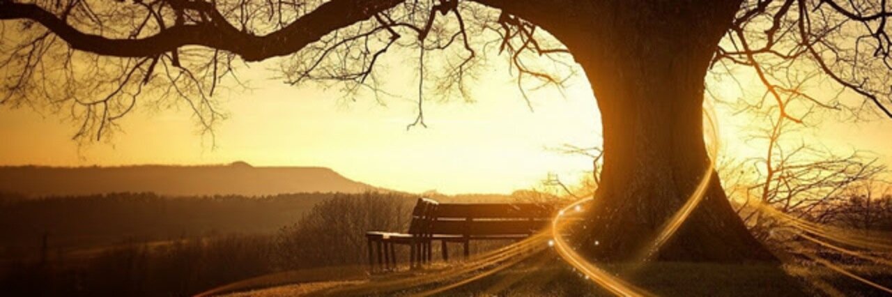 cjbowks's profile banner image