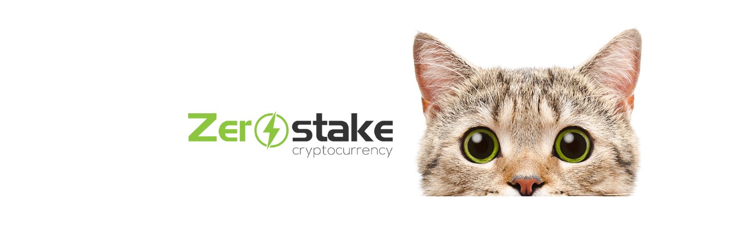 zerostake's profile banner image