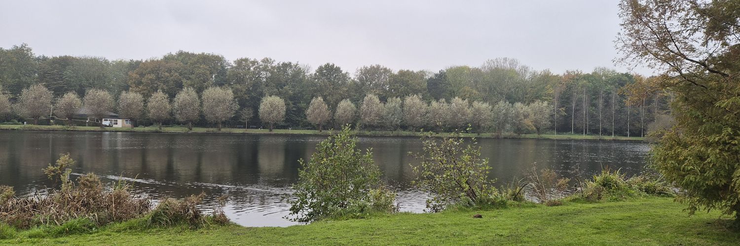 Janice Roopram banner