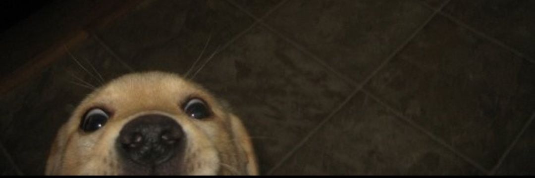 MovesLikeJaffa's profile banner image