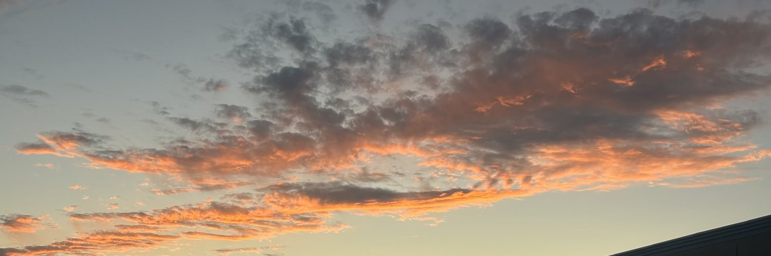 dublinmary☘️🍁 banner