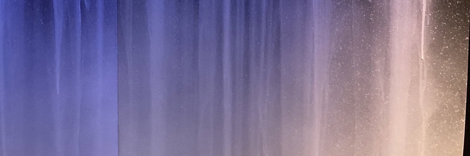 sumflower 🌻 banner