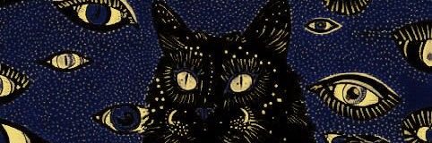 intanndom's profile banner image