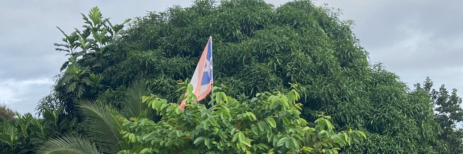 Chocotroll 🇲🇽🇵🇷 banner