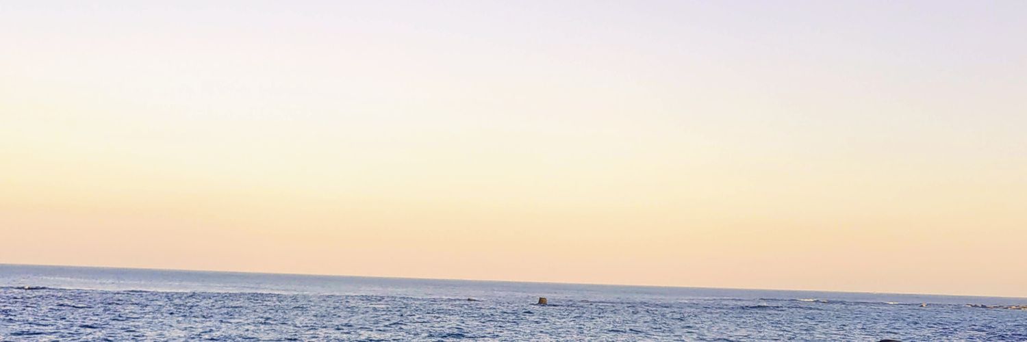 hassanpono banner