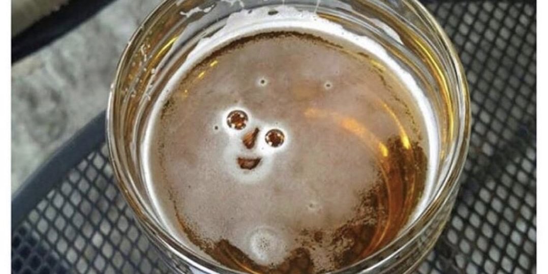 Beer_Hunter1's profile banner image