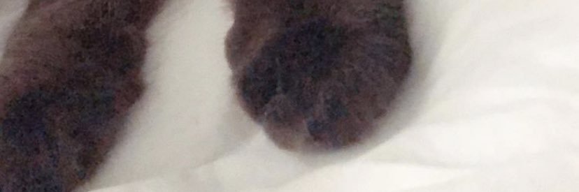 Gcrawford1's profile banner image