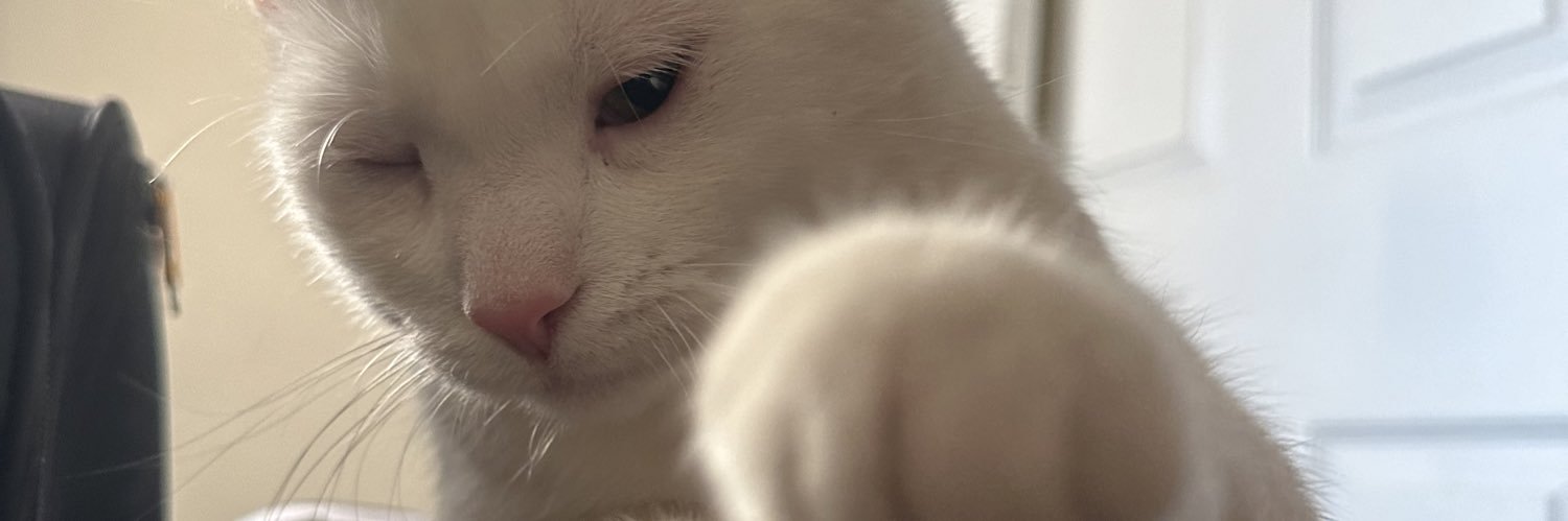 RXLDO's profile banner image