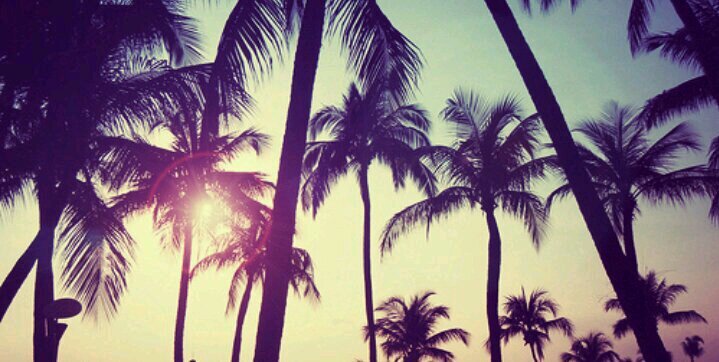 ThisShawtyy_'s profile banner image