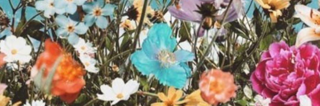 albama95's profile banner image