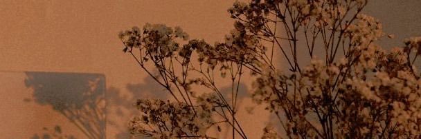 alepetl banner
