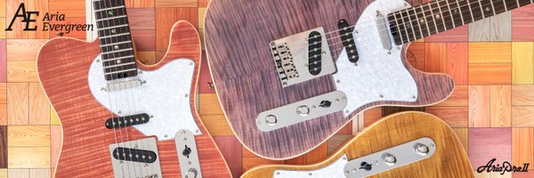 ARIA_GUITAR Profile Banner
