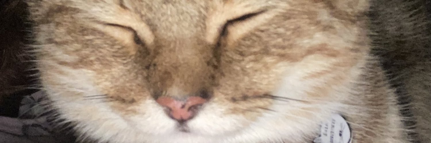 HmeAw_ZunG's profile banner image