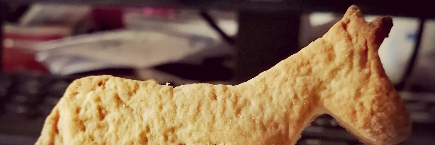 TacioCruz's profile banner image