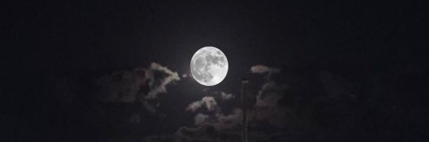 sszxq0's profile banner image